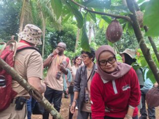 Kakao Lampung Timur Tarik Perhatian Dunia: 18 Negara Kunjungi Desa Sribhawono